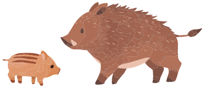 イノシシのイラスト