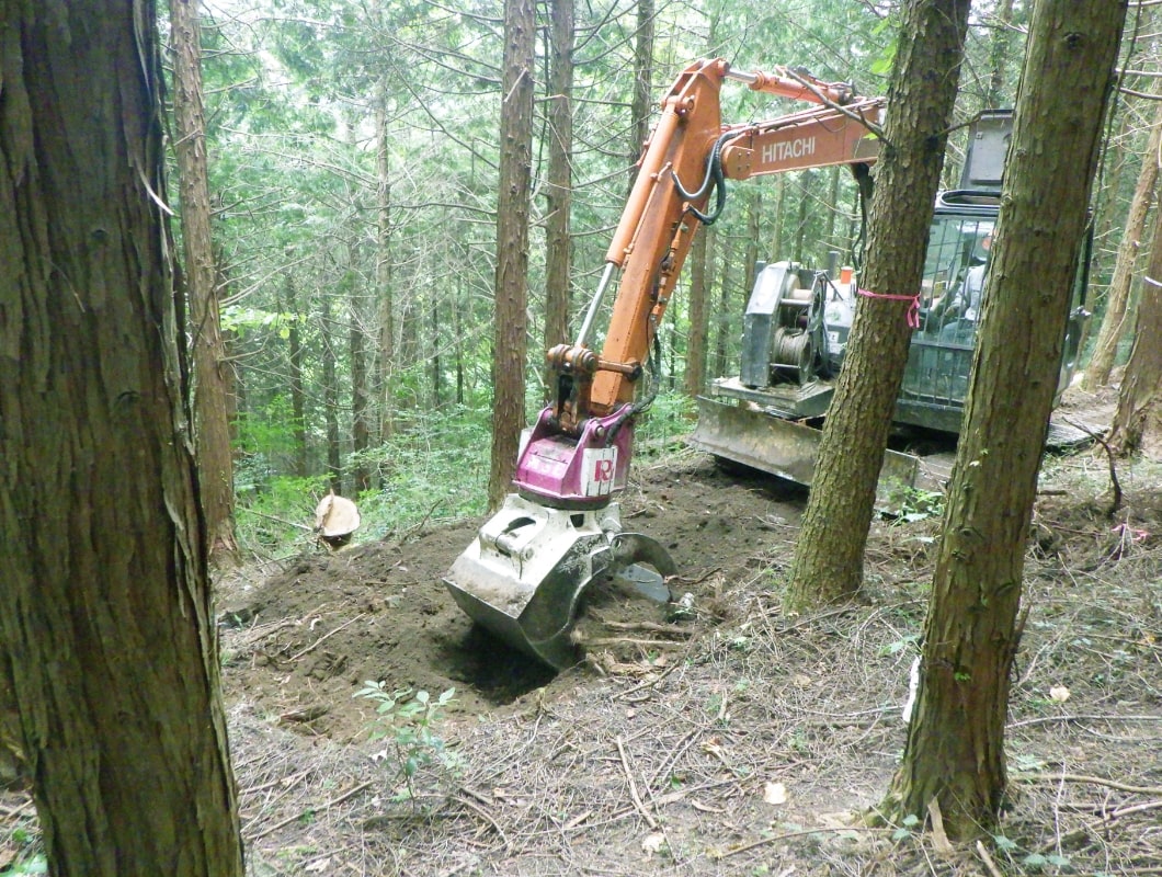 重機で木の根を掘り出す様子